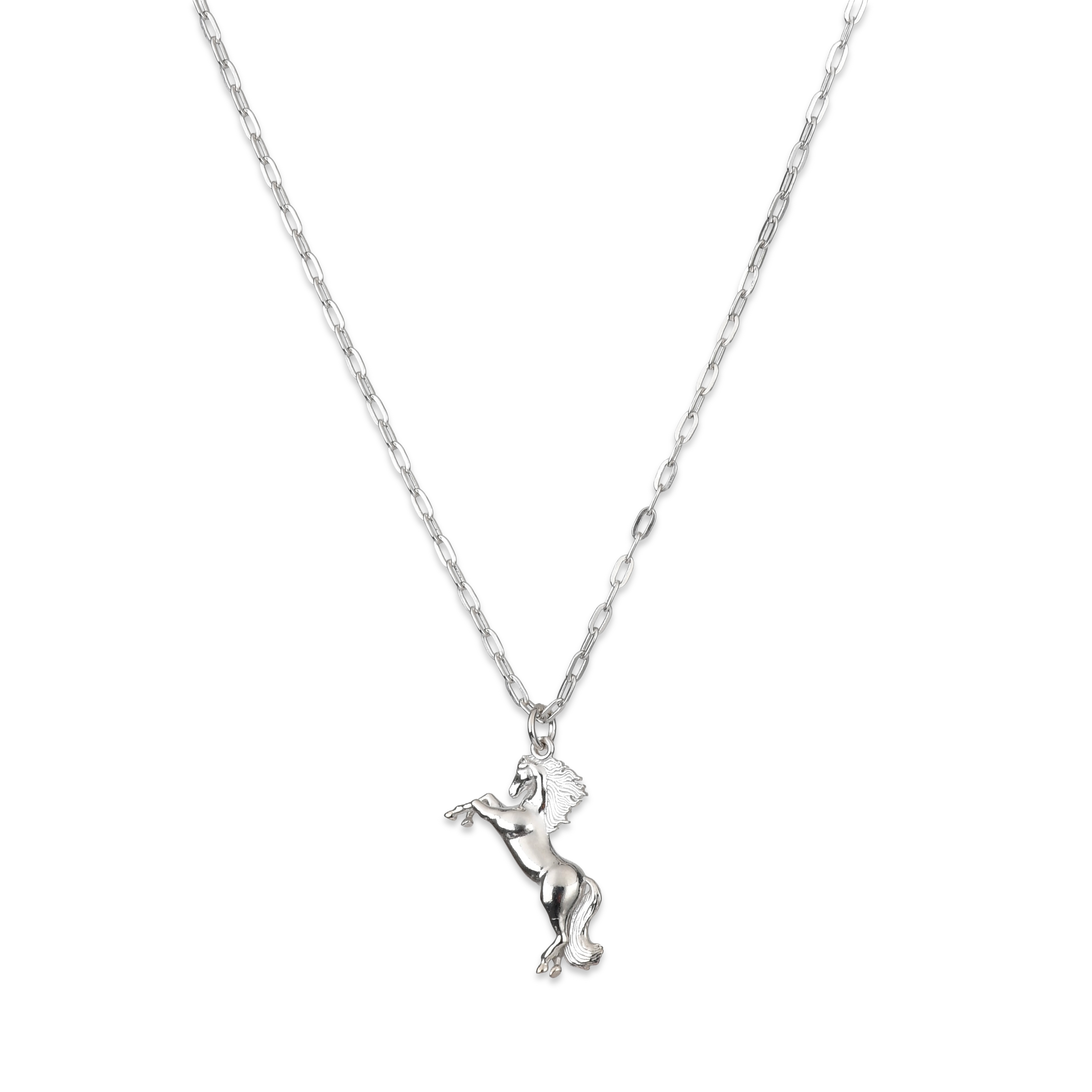 FLIGHTLINE SILVER KOLYE